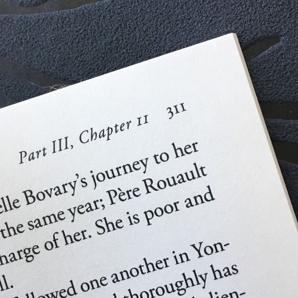 BOOK, Madame Bovary Paperback Fiction Novel, NEW - Picture 4 of 9